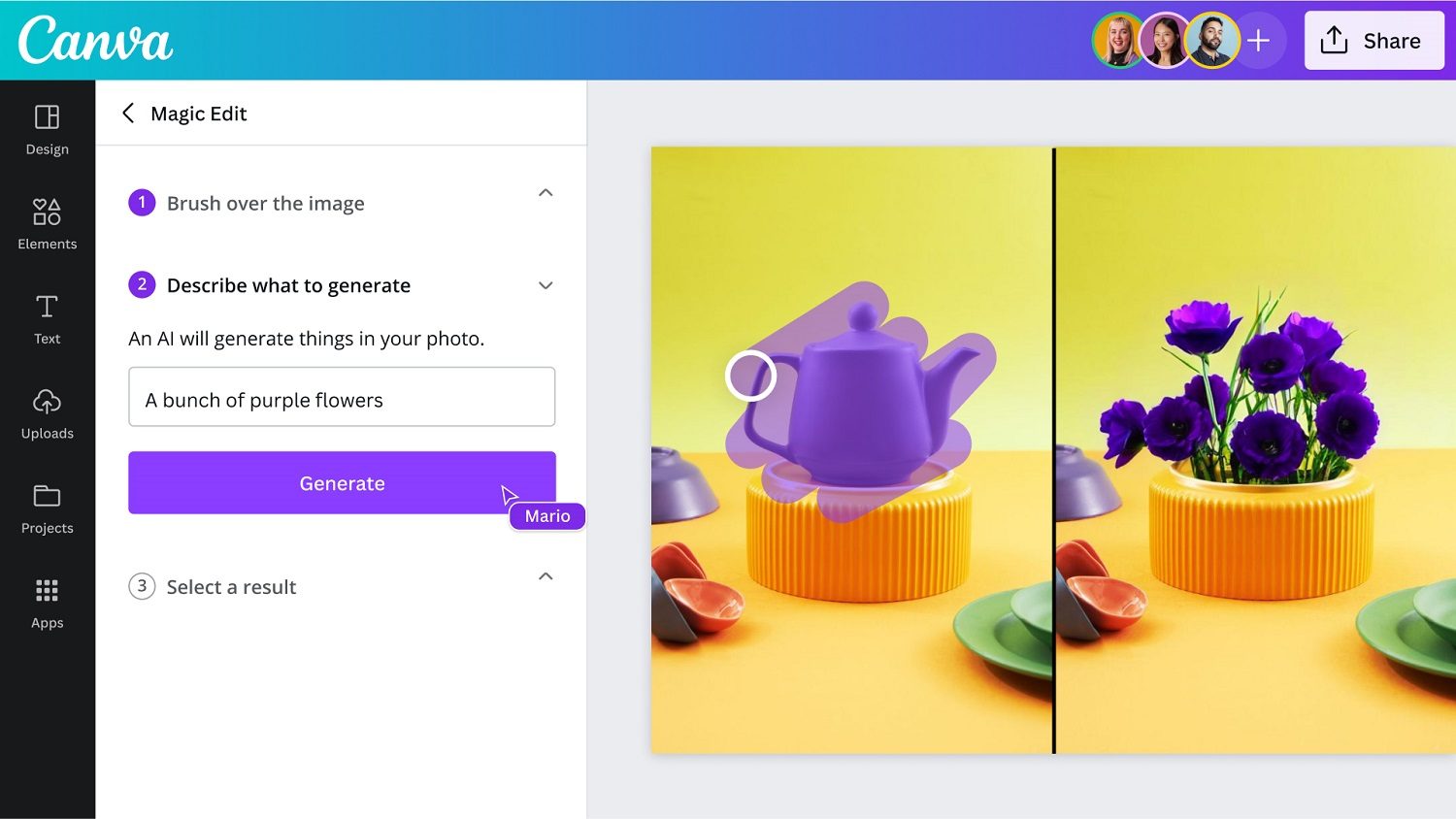 Canva Pro Premium Assets and Features